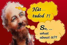 Website of ... T.D&eacute;nes Tam&aacute;s ... honlapja . . . 