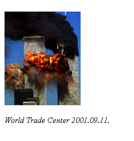 Szövegdoboz:  

World Trade Center 2001.09.11.

